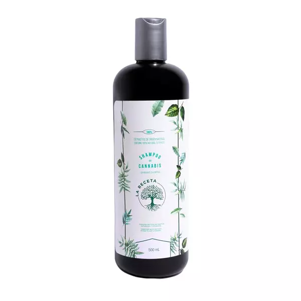 Shampoo De Romero Para Cabello Graso La Receta Cbd